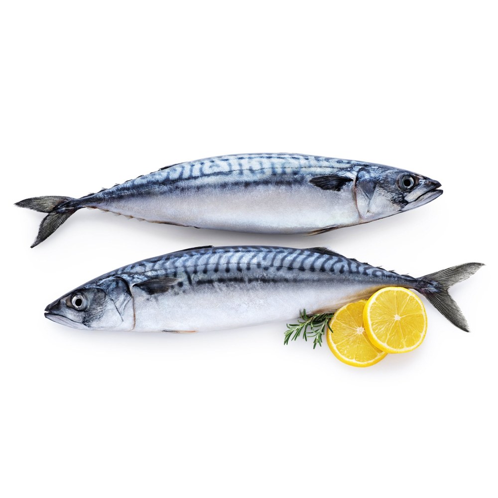Sea Food